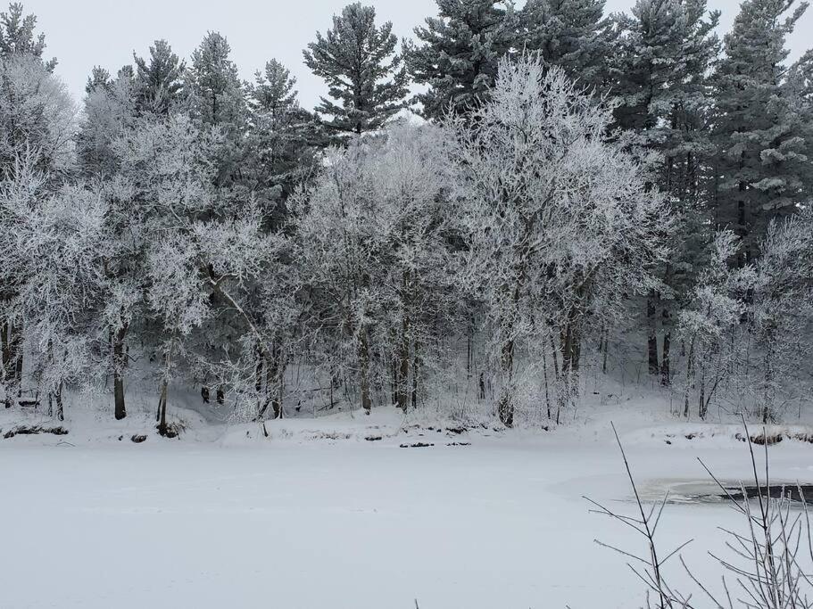 Wilderness Meadows *